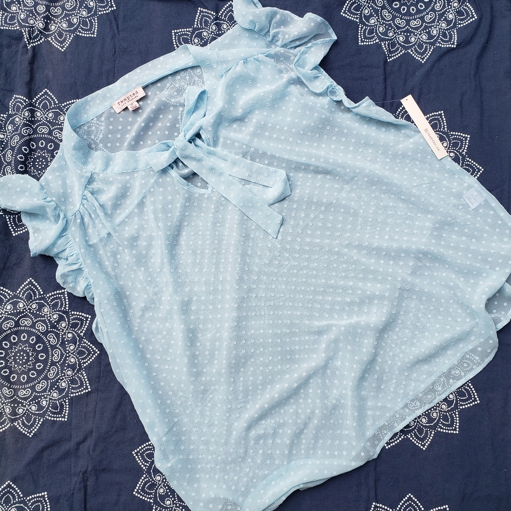 NWT Sheer Short-sleeved Blouse, 2X